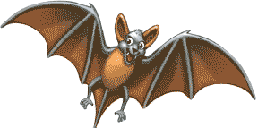Chauve-souris (bat)